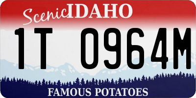 ID license plate 1T0964M
