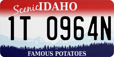 ID license plate 1T0964N