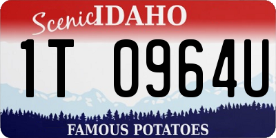 ID license plate 1T0964U