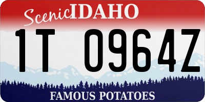 ID license plate 1T0964Z