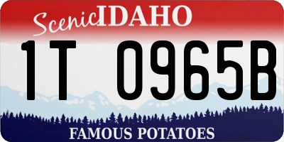 ID license plate 1T0965B