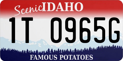 ID license plate 1T0965G
