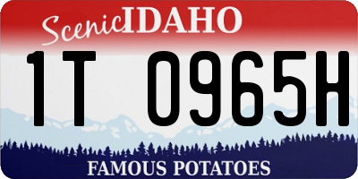 ID license plate 1T0965H