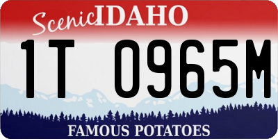 ID license plate 1T0965M