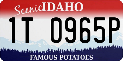 ID license plate 1T0965P
