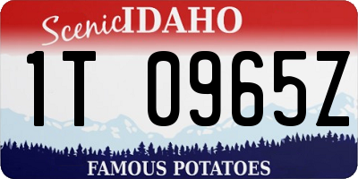 ID license plate 1T0965Z