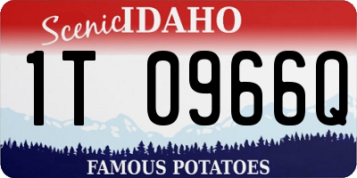 ID license plate 1T0966Q