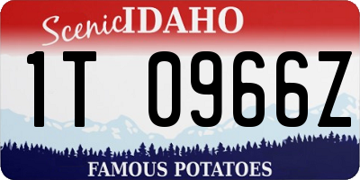 ID license plate 1T0966Z