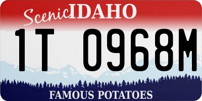 ID license plate 1T0968M