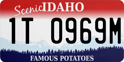 ID license plate 1T0969M