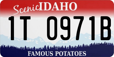 ID license plate 1T0971B