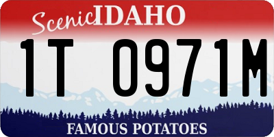 ID license plate 1T0971M