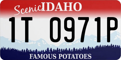 ID license plate 1T0971P