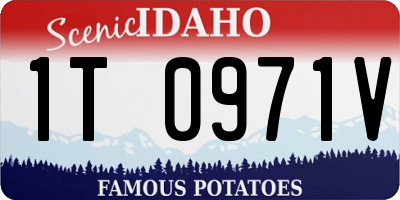 ID license plate 1T0971V