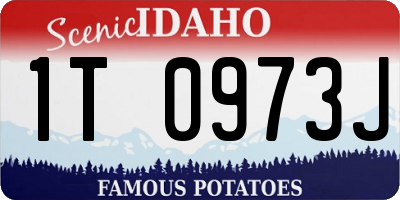 ID license plate 1T0973J