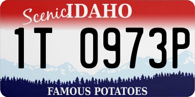 ID license plate 1T0973P