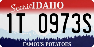 ID license plate 1T0973S