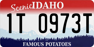 ID license plate 1T0973T
