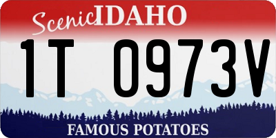 ID license plate 1T0973V