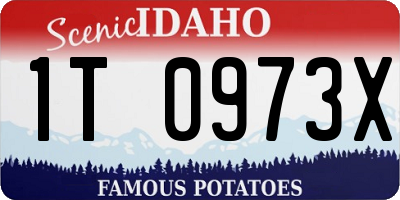 ID license plate 1T0973X