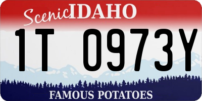 ID license plate 1T0973Y