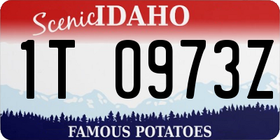 ID license plate 1T0973Z