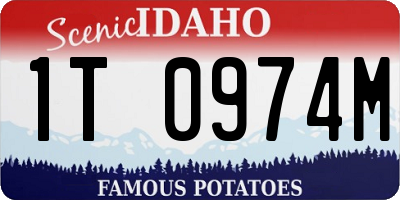 ID license plate 1T0974M