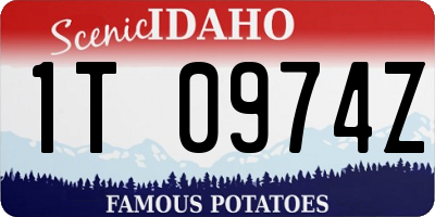 ID license plate 1T0974Z