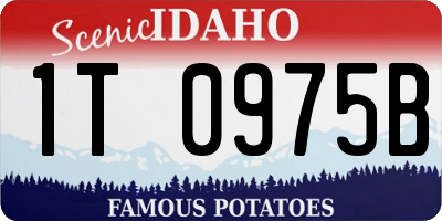 ID license plate 1T0975B