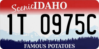 ID license plate 1T0975C