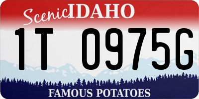 ID license plate 1T0975G