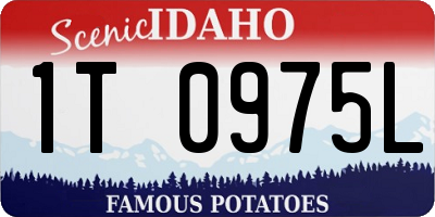 ID license plate 1T0975L