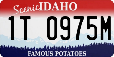ID license plate 1T0975M