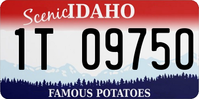 ID license plate 1T0975O