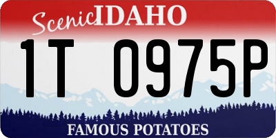 ID license plate 1T0975P