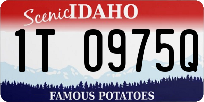 ID license plate 1T0975Q