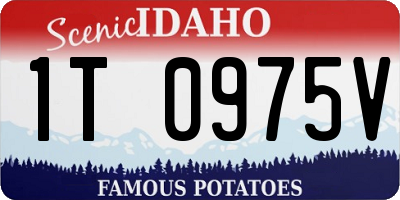 ID license plate 1T0975V