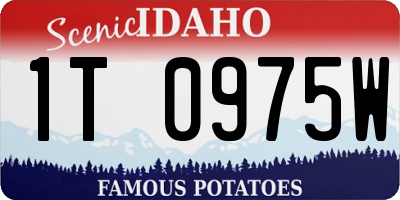 ID license plate 1T0975W