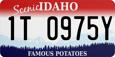 ID license plate 1T0975Y