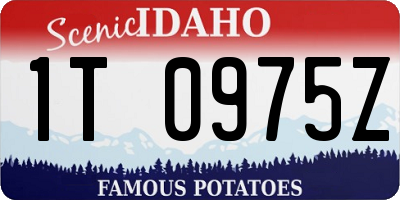 ID license plate 1T0975Z