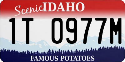 ID license plate 1T0977M