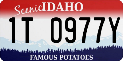 ID license plate 1T0977Y