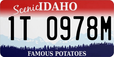 ID license plate 1T0978M