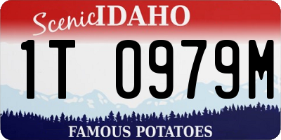 ID license plate 1T0979M