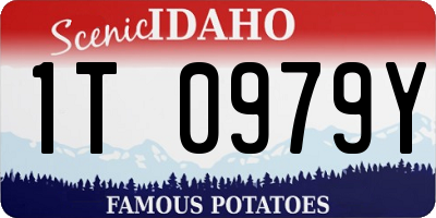 ID license plate 1T0979Y