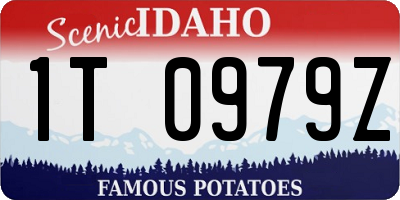 ID license plate 1T0979Z