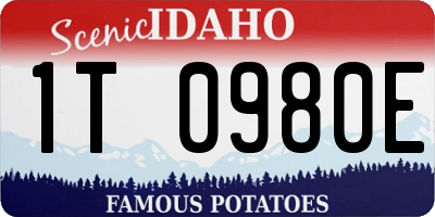 ID license plate 1T0980E