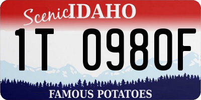 ID license plate 1T0980F