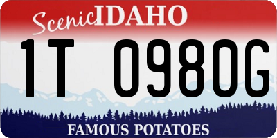 ID license plate 1T0980G