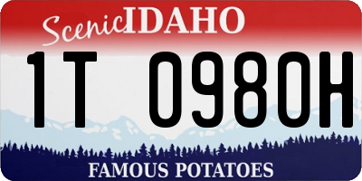 ID license plate 1T0980H
